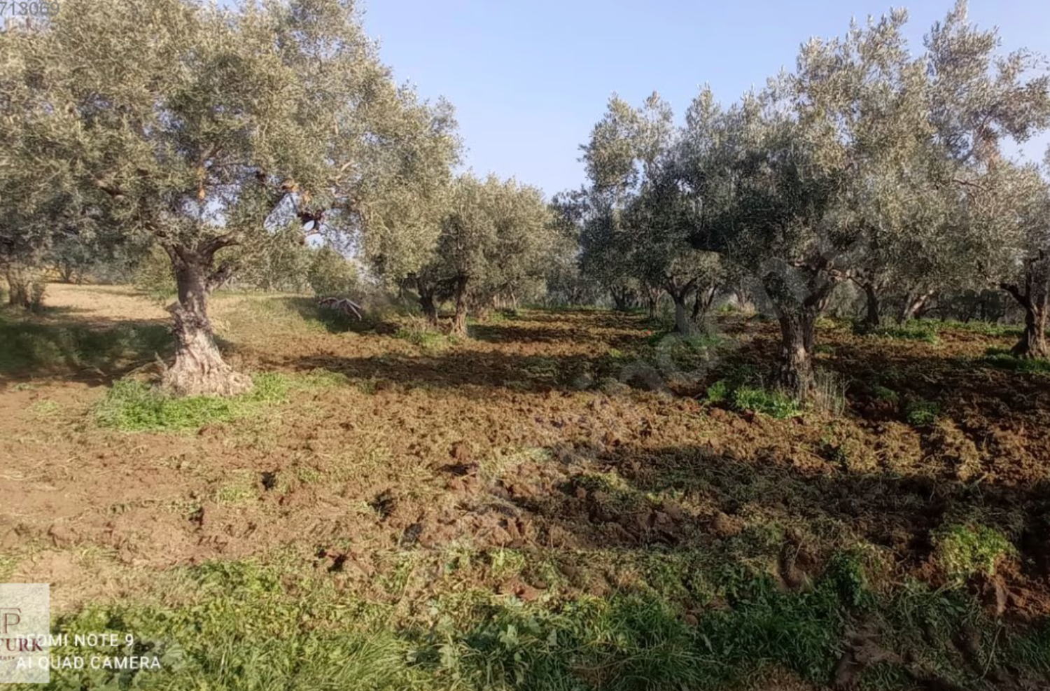 İĞDEBAĞLARI MAHALLESİNDE